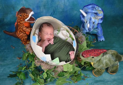 Dinosaur Newborn Pictures, Dinosaur Themed Photoshoot, Newborn Dinosaur Photography, Dinosaur Photoshoot, Dinosaur Baby Shower Ideas, Dinosaur Photography, Sibling Photography Newborn, Family Studio Photography, Baby Boy Newborn Pictures