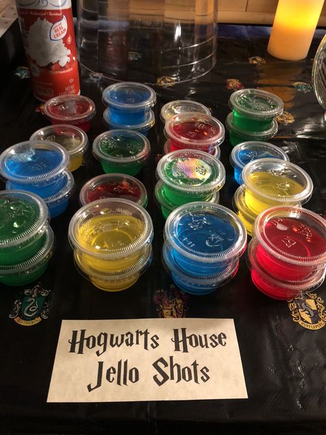 Hogwarts house color Jell-O shots - Harry Potter Halloween party Harry Potter 25th Birthday, 21st Harry Potter Birthday, Harry Potter Theme Party Ideas, Harry Party Party Ideas, Harry Potter 21st Birthday Party Ideas, Quidditch Beer Pong, Harry Potter Cocktail Party, Harry Potter Birthday Party Ideas For Adults, Harry Potter Christmas Recipes