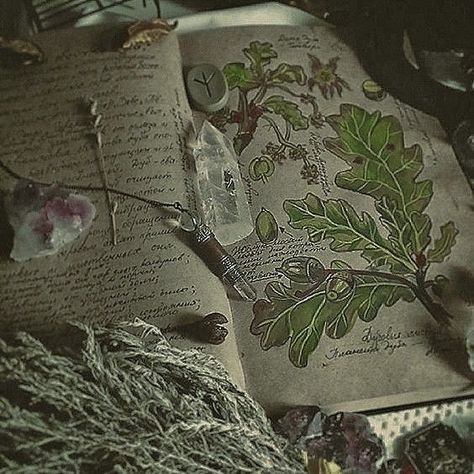 Tumblr, Witch Tower Aesthetic, Potion Witch Aesthetic, Woodland Witch Aesthetic, Bramble Aesthetic, Wild Magic Aesthetic, Southern Witch Aesthetic, Dark Druid Aesthetic, Jade Core Aesthetic