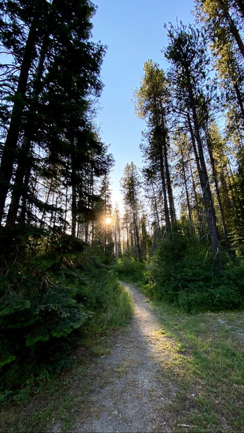 A path leading into a deep green forest. Nature, Walk In Woods, Productive Era, Mini Gym At Home Ideas, Walk Aesthetic, Side Walk, Walking Everyday, Forest Walk, Walking City