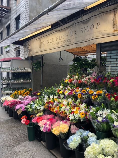 #flowers #flowerboutique #floral #nyc #nycflowers #westvillage Bonito, Flower Shops Aesthetics, Flower Shop New York, New York Flower Shop, Flower Shop Aesthetic, Nyc Flower Shop, New York Flowers, Nyc Flowers, New York Flower