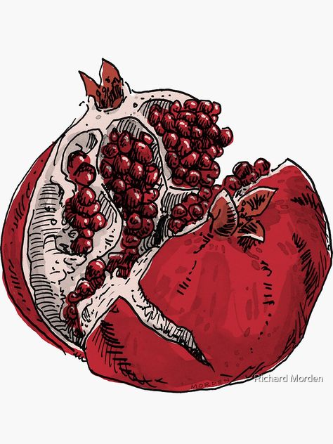 Pomegranate Drawing, Drawing Sticker, Drawing Poster, When You Leave, 수채화 그림, Deep Meaning, Arte Sketchbook, What Happens When You, Funky Art