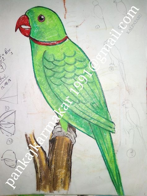 Easy parrot painting with oil pastel by Pankaj karmakar Parrot Simple Drawing, Parrot Painting Easy, Parotts Bird Drawing, Parrot Drawing Pencil, Parrot Drawing For Kids, Parrot Drawing Easy, Draw Parrot, Drawing Parrot, Scenery Drawing For Kids