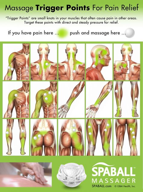 Massage Trigger Points For Pain Relief - Spaball Massager Massage Trigger Points, Punkty Spustowe, Massage Therapy Techniques, Trigger Point Therapy, Reflexology Massage, Trigger Point, Nerve Pain Relief, Shiatsu Massage, Massage Benefits