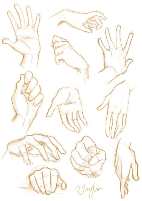 Everything Art Drawing Hands, Sketch Hands, ศิลปะ Sugar Skull, Hand References, Hand Sketches, Desen Realist, Draw Hands, Couple Drawing, Výtvarné Reference