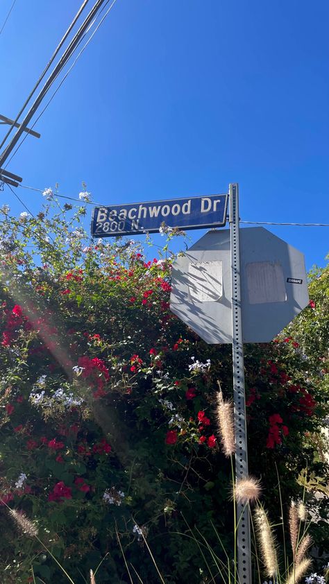 AT THE BEACHWOOD CAFE Los Angeles, Beachwood Cafe, Sunset Blvd Los Angeles, Brentwood Los Angeles, Brentwood California, 2024 Moodboard, Post Grad Life, Sunset Blvd, Post Grad