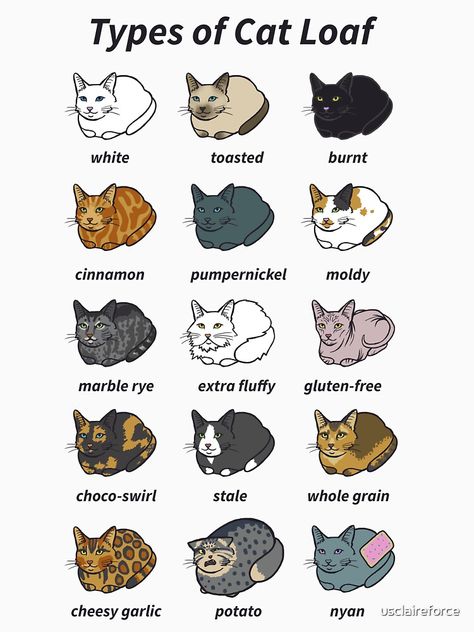 "The Types of Cat Loaf" T-shirt by usclaireforce | Redbubble Gato Calico, Cat Loaf, Creaturi Mitice, Koci Humor, Cat Language, Cute Animal Memes, Types Of Cats, Meme Gato, Cat Facts