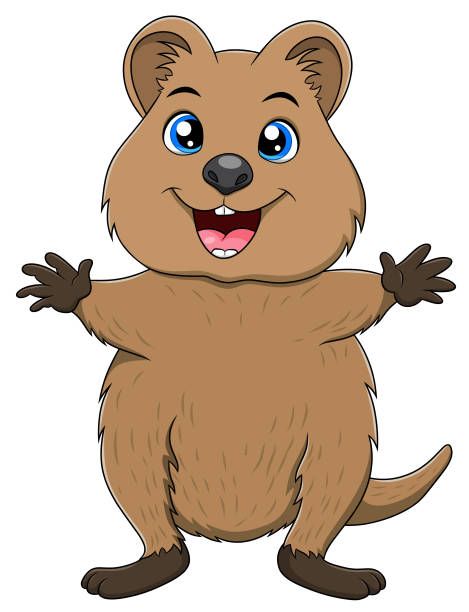 Cute Quokka, Quokka Animal, Pet Shop Logo Design, Happiest Animal, Funny Pet Costumes, Pet Shop Logo, Animal Aesthetic, Pet Illustration, Australia Animals