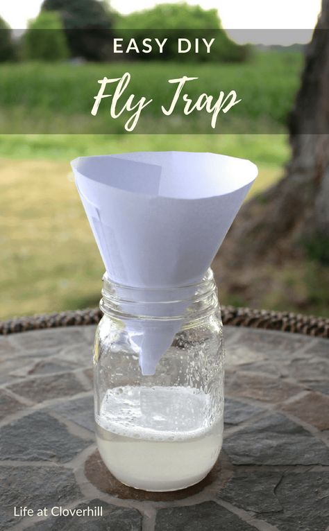 Easy DIY Fly Trap - Ideas for the Home How Do I Get Rid Of Flies In My House, Upcycling, How To Trap Flies In The House, Home Made Fly Trap Diy, How To Get Rid Of House Flies, Diy Outdoor Fly Trap, House Fly Trap Homemade, Keep Flies Out Of House, Fly Traps Homemade Diy Outdoor