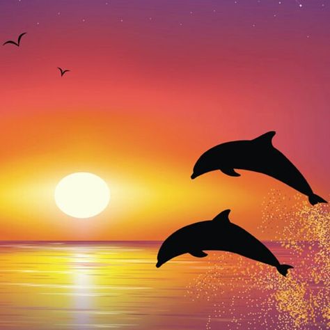 Dolphins at sunset Dolphin Sunset Painting, Easy Dolphin Painting, Sunset Dolphin, Dolphin Sunset, Easy Abstract Art, Cute Easy Paintings, Dolphin Painting, Sunset Canvas Painting, Easy Landscape Paintings