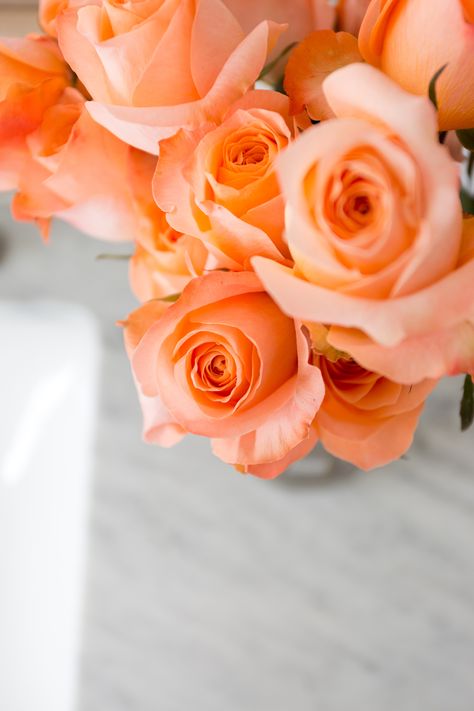 - Orange Roses Aesthetic, Apricot Roses, Orange Aesthetics, Coral Roses, Coral Flower, Hearts And Roses, Rosé Aesthetic, Rose Orange, Rose Arrangements