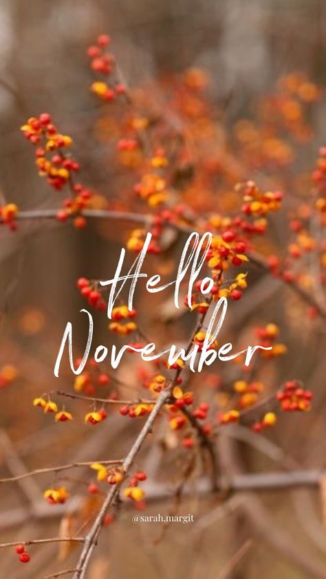 Hello November Wallpaper, Hallo November, November Images, Neuer Monat, Welcome November, November Wallpaper, November Thanksgiving, Seasons Months, Hello November