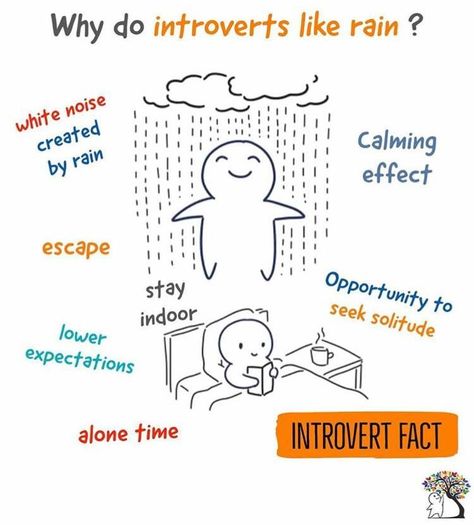 Introvert Problems, Personalidad Infj, Introvert Love, Introvert Personality, Introverts Unite, Introvert Quotes, Introvert Humor, Infp Personality, Extroverted Introvert