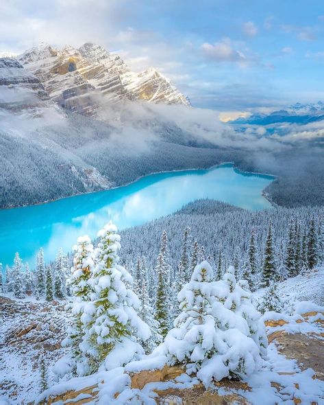 Banff, Canada is the ultimate winter wonderland… 😍 are you excited for winter?! 📸: @swissclick_photography #winter #wonderland… | Instagram Winter Scenery Pictures, Nature Backgrounds Iphone, Winter Canada, Northern Lights Photo, Canada Nature, Canada Landscape, Experiential Art, Canadian Nature, Canada Pictures