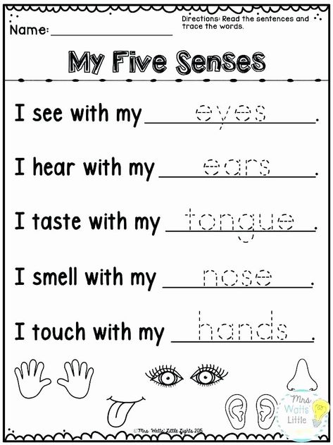 5 Senses Preschool, 5 Senses Worksheet, Five Senses Worksheet, Five Senses Preschool, Senses Preschool, Materi Bahasa Inggris, My Five Senses, Body Parts Preschool, Senses Activities