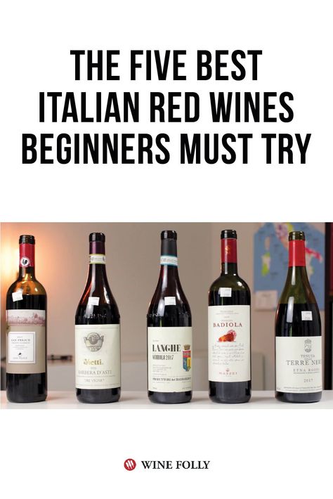 Wine Chart, Italian Wines Guide, Italian Wine Tasting, Italian Red Wine, Best Italian Wines, How To Make Wine, Wine Cheese Pairing, Wine Variety, Sweet Red Wines
