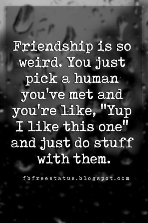 funny friendship pictures with quotes, Friendship is so weird. You just pick a human you've met and you're like, 'Yup I like this one' and just do stuff with them. Girlfriends Quotes Friendship Funny, Being Friends First Quotes, New Friendships Quote, Cute Quotes For Friends Friendship, Man And Woman Friendship Quotes, Mom Friendship Quotes, Frienship Goal Quotes Funny, My Tribe Quotes Friendship, Crazy Friend Quotes Humor