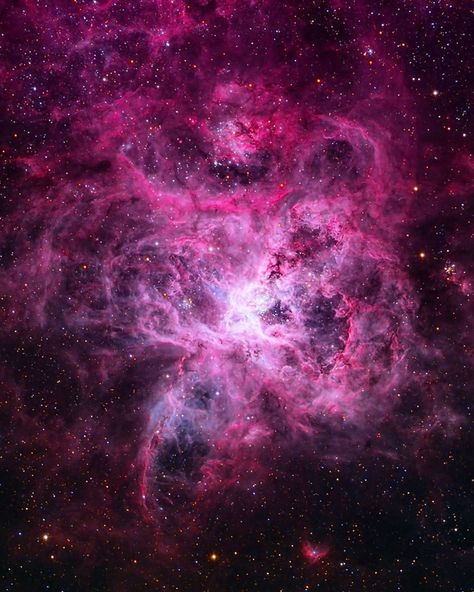 Can you name this beautiful nebula? —————————————————————————— 🌌Do you know the name of this  #nebula, which is located in the Large… Tarantula Nebula, Light Science, Faster Than Light, Helix Nebula, Star Clusters, Astronomy Pictures, Giant Star, Cocoppa Wallpaper, Star Formation