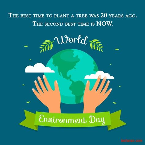 World Environment Day is celebrated every year on 5th June. The purpose of World Environment Day 2021 is to spread awareness about the increasing pollution level and the threat to the environment due to climate change. World Environment Day Quotes, Environment Day Quotes, Slogan Poster, World Environment Day Posters, Happy World Environment Day, Human Environment, Save Nature, Quotes In English, World Environment Day