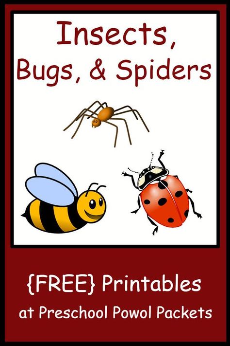 Free preschool printables!! Includes worksheets and activities, life cycles, playdough mats, letters, and much more for insect, bug, spider, ladybug, butterfly, worm, and other litter critter preschool themes!  ALL FREE!! Spiders Preschool, Honey Bee Life Cycle, Insects Theme Preschool, Insect Study, Printables Preschool, Bee Life Cycle, Mini Beasts, Bug Activities, Insect Unit