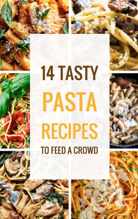 Pasta For A Large Group, Pasta For Crowd Parties, Quick And Easy Meals To Feed A Crowd, Pasta Recipes Large Groups, Pasta Dishes To Feed A Crowd, Pasta Dinners For A Crowd, Pasta Recipes For Parties, Pastas For A Crowd, Pasta For 20 People