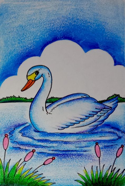 Scenary Drawings For Kids, Drawing With Pencil Colours Easy, Duck Drawing For Kids, Duck Drawing Easy, Basic Drawing For Kids, Drawing Pictures For Kids, Super Easy Drawings, Swan Drawing, Scenery Drawing For Kids