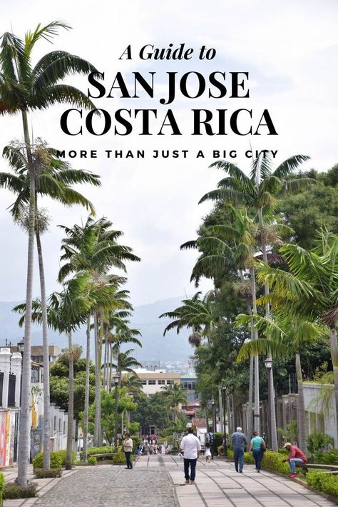 20 Exciting Things to do in San Jose, Costa Rica (& Complete City Guide!) Costa Rica, Argentina, San Jose, Costa Rice, Making Healthy Food, Tortuga Island, Costa Rico, Cost Rica, Costa Ric