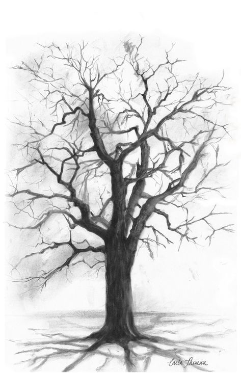 Enjoy the simple majesty of nature with this stunning charcoal sketch of a towering oak tree. Printed from an original drawing, this piece captures the intricate branch structure and texture of the tree, allowing you to truly appreciate its grandeur. Perfect for us nature lovers, this print will bring a sense of awe and wonder into your home.Titled - Tall Oak UNFRAMED Printed on matte finish, acid-free archival paperSelect your size Nature, Oak Tree Drawing Simple, Oak Tree Drawings, Tree Drawing Simple, Tree Drawings, Branch Drawing, Oak Tree Tattoo, Charcoal Sketch, Tall Trees