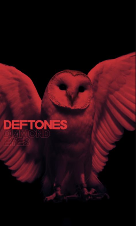 Deftones Cat Pfp, Deftones Red Aesthetic, Deftones Pfp Aesthetic, Deftones Poster Aesthetic, Deftones Photoshoot, Deftones Wallpapers Desktop, Deftones Aesthetic Wallpaper, Deftones Background, Deftones Owl