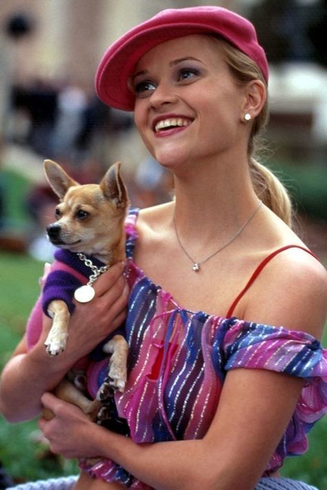 You're Wrong If You Don't Think Chihuahuas Are The Best Dogs On This Good Earth Bruiser Woods, Legaly Blonde, Legally Blonde 3, Legally Blonde Movie, Blonde Movie, Elle Woods, Legally Blonde, Movie Fashion, Reese Witherspoon