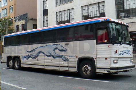 Greyhound plans to discontinue Nanaimo-to-Victoria bus service Mini Bus, Double Decker Bus, Greyhound Bus, Luxury Bus, The Lightning Thief, Bus Coach, Abandoned Cars, Bus Driver, Bus Station