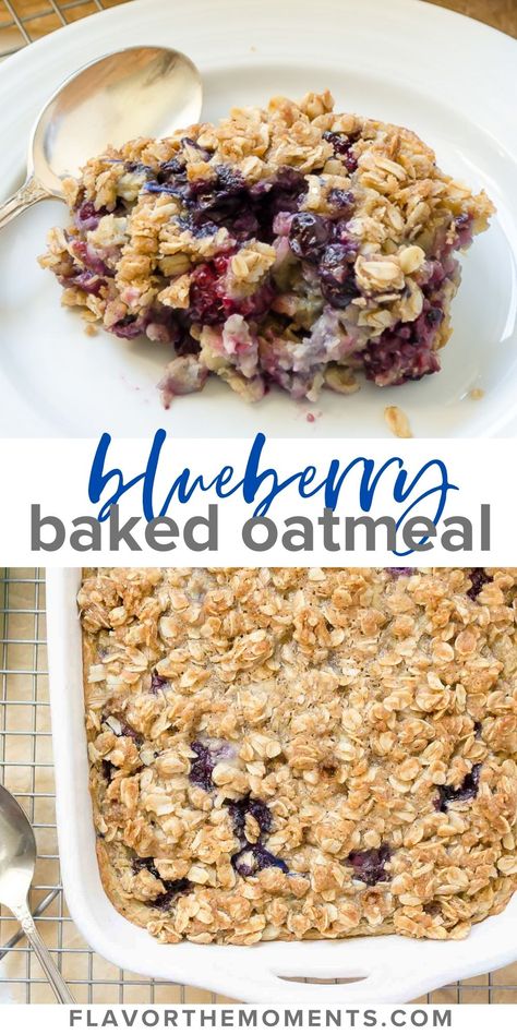 Overnight Blueberry Baked Oatmeal Blueberry Oatmeal Bake Breakfast, Baked Oatmeal Make Ahead, Oatmeal Bake No Eggs, Oatmeal Egg Bake, Breakfast With Oats Ideas, Baked Out Meal, Baked Oatmeal To Go, Oatmeal Breakfast Casserole Recipes, Dairy Free Oatmeal Bake