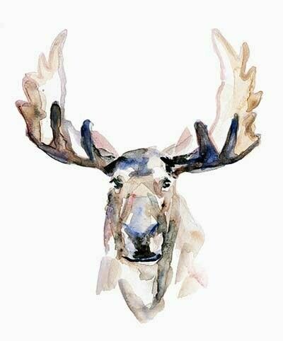 Moose portrait watercolor Moose Watercolor, Moose Tattoo, Moose Painting, Moose Pictures, Maine Art, Portrait Watercolor, Watercolor Portrait, Watercolor Illustrations, Easy Watercolor