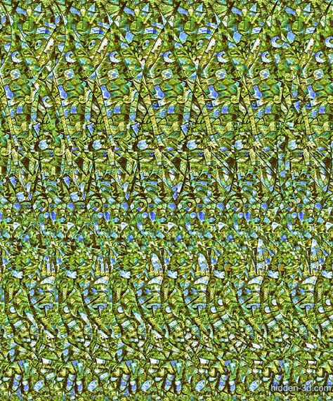 Taking off : Stereogram Images, Games, Video and Software. All Free! Stereograms 3d, Magic Eye Posters, Hidden 3d Images, Optical Illusion Images, 3d Stereograms, Optical Illusions Pictures, Magic Eye Pictures, Eye Illusions, Illusion Pictures