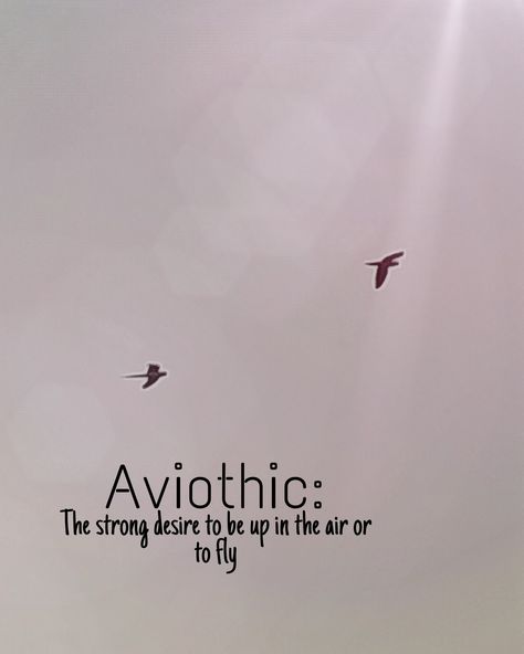 #meaning#aviothic#quotes#birds#fly#sky#wallpaper#aesthetic#ideas Nature, Aviothic Word, Aviothic Wallpaper, Aviothic Quotes, Flying Bird Quotes, Flying Birds Captions, Birds Instagram Story Caption, Freedom Quotes Aesthetic, Birds Flying In The Sky Quotes