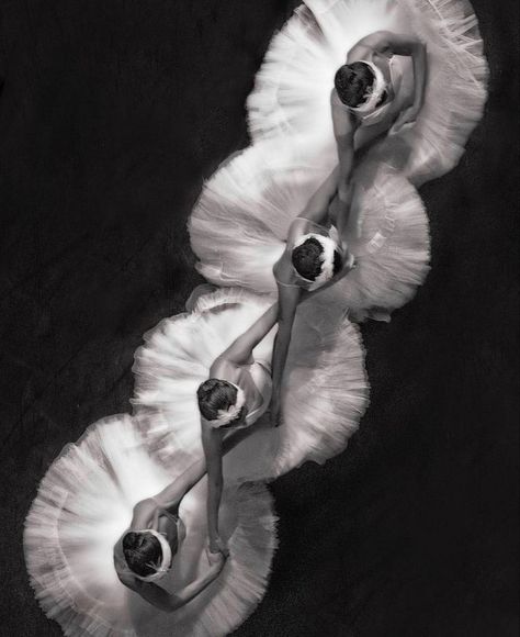 Ballet Photography, Swan Lake Ballet, Ballet Painting, Ballet Posters, Ballet Beauty, Ballet Inspiration, Living Museum, White Swan, Black And White Posters