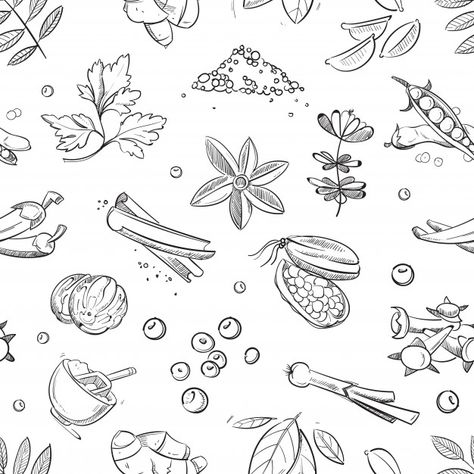 Fresh herbs and spices doodle hand drawn | Premium Vector #Freepik #vector #background #pattern #flower #food Spices Doodle, Spices Drawing, Spices Illustration, Spices Vector, Mood Board Fashion Inspiration, Spice Logo, Herbs Illustration, Doodle Png, Nature Logo Design