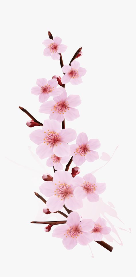 Tattoo Cherry Blossom, Cherry Blossom Png, Tattoo Cherry, Cherry Blossom Drawing, Cherry Blossom Tree Tattoo, Sakura Wallpaper, Blossom Tree Tattoo, Cherry Blossom Watercolor, Japanese Blossom