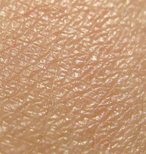 Human Skin Bump map texture Human Skin Texture, Homemade Skincare, Human And Animal, Skin Facts, Skincare Company, Skin Bumps, Skin Photo, Face Creams, Body Anatomy