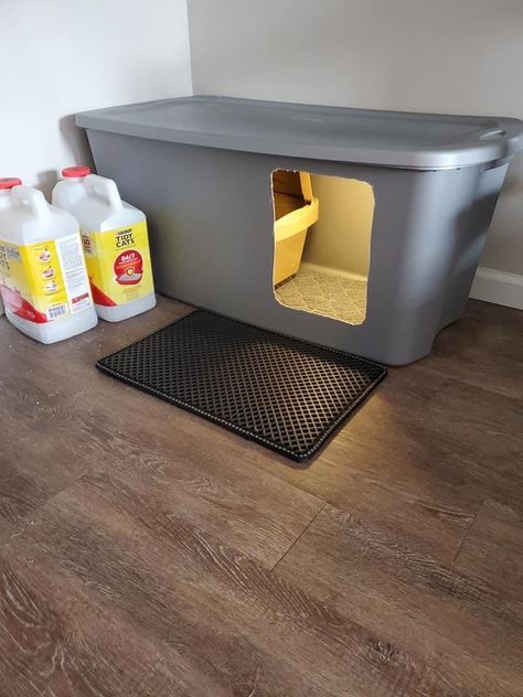 Piscina Container, Cat Litter Box Diy, Katt Diy, Diy Litter Box, Katt Grejer, Kat Diy, Chat Diy, Box Hacks, Cat Patio