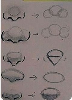 Ways To Draw Noses, Family Relationship Chart, Draw Noses, Relationship Chart, Nose Drawing, Easy Drawings Sketches, Guided Drawing, Book Art Drawings, Family Relationships