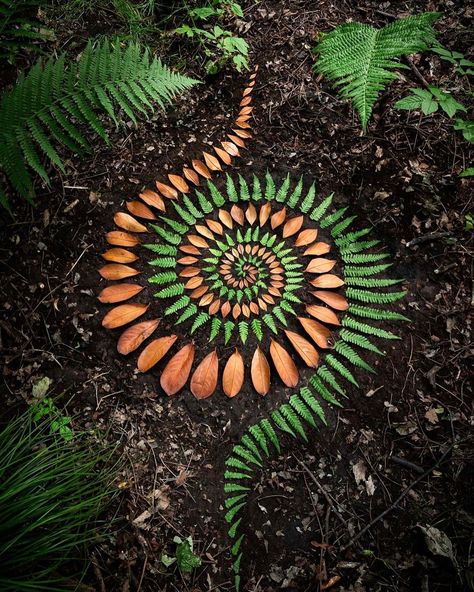 My spiral from the forest day at @elaf_festivals Check the tags for the credits on other artists work. 2 nd image James Brunt, 3. Jon… | Instagram Mandala In Nature, Mandala Art Nature, Nature Mandala Art, Land Art Ideas, Nature Art Projects, Forest Mandala, Outdoor Altar, Spiral Mandala, Fun Garden Projects