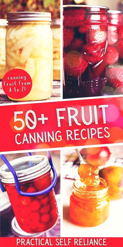 50+ Fruit Canning Recipes: Canning for Beginners - Learn how to can fruit! No matter the fruit, there's a way to go about canning it for long term food storage. From canning apples to canning watermelon, this guide to water bath canning fruit is essential during the summer fruit harvest. water bath canning recipes | creative canning recipes | preserving fruit in jars | storing fruit in mason jars | jam canning recipes | canned fruit recipes Canning Mixed Fruit, How To Can Fruit, Canning Homemade Fruit Cocktail, Canning Fruit Salsa Recipes, Fruit Syrups For Canning, Preserving Fruit In Jars, Canning Jam Recipes Fruit, Canning Fruit Cocktail, Fruit Canning Recipes