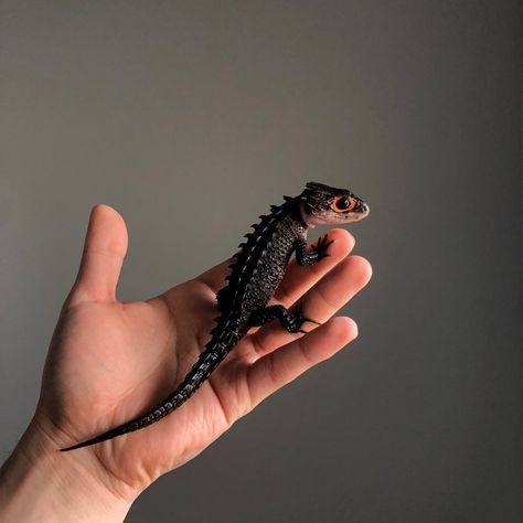 Reptiles And Amphibians, Red Eyed Crocodile Skink, Crocodile Skink, Dubia Roaches, Cute Reptiles, Reptile Snakes, Earthworms, Creature Feature, Crocodiles