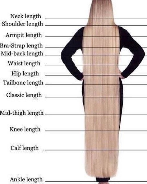 ⭐️What’s your hair length?⭐️⠀ 🔹How long is your hair and what’s your length goal?❤️ Hair Inches Chart, Tailbone Length Hair, Box Braid Lengths, Hair Inches, Cornrows With Box Braids, Growth Challenge, Hair Growth Challenge, Hair Elixir, Homemade Hair Mask