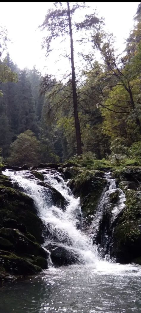 Parashar lake trek, himachal pradesh Water, Parashar Lake, Himachal Pradesh, Lake