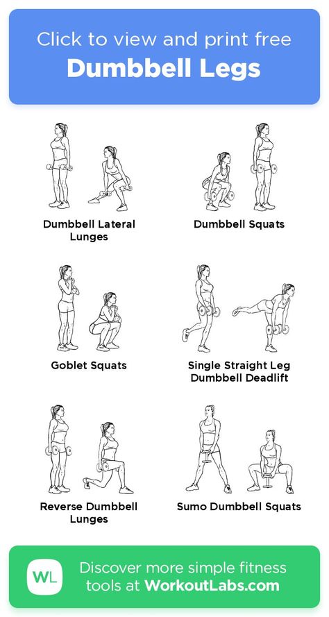 Dumbbell Leg Workout, Leg Workouts Gym, Workout Labs, Workout Hiit, Sixpack Workout, Gym Workout Plan For Women, Leg Workout At Home, Dumbell Workout, Workout Bauch