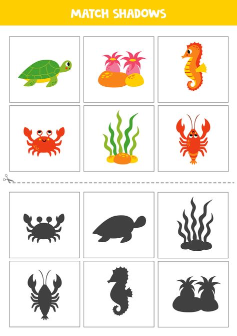 Download the Find shadows of cute sea animals. Cards for kids. 23360126 royalty-free Vector from Vecteezy for your project and explore over a million other vectors, icons and clipart graphics! Cute Sea Animals, Ocupational Therapy, Animals Cards, Sea Activities, Pattern Worksheet, Diy Tutu, Ocean Activities, Concept Art Tutorial, Under The Sea Theme