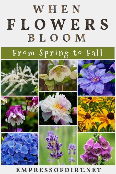 If you love flowers and want continuous blooms in your garden, this is for you. This handy, printable chart lists popular, flowering perennials, and their bloom times through the seasons. It also provides preferred sun/shade conditions and general growing zones. Canadian Gardening, Garden Themes, Perennial Garden Plans, Fall Perennials, Backyard Decorating, Garden Flowers Perennials, Beginner Gardening, Witch Board, Spring Peony