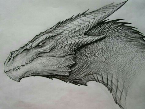 Dragão Drachenburg Castle, Dragon Head Drawing, Tato Naga, Dragon Sketch, Cool Dragons, Dragon Pictures, Dragon Artwork, Dragon Drawing, Mythical Creatures Art